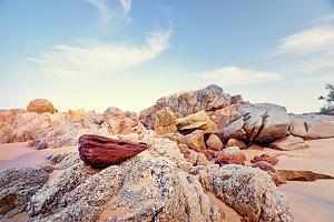 large and porous rocks buried at a beach